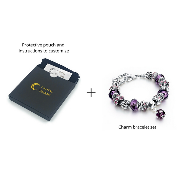 Purple Theme Silver Charm Bracelet for Women and Girls